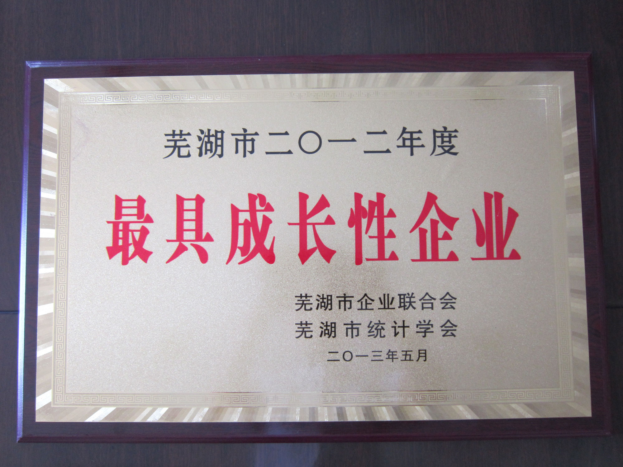 蕪湖市最具成長(zhǎng)性企業(yè)